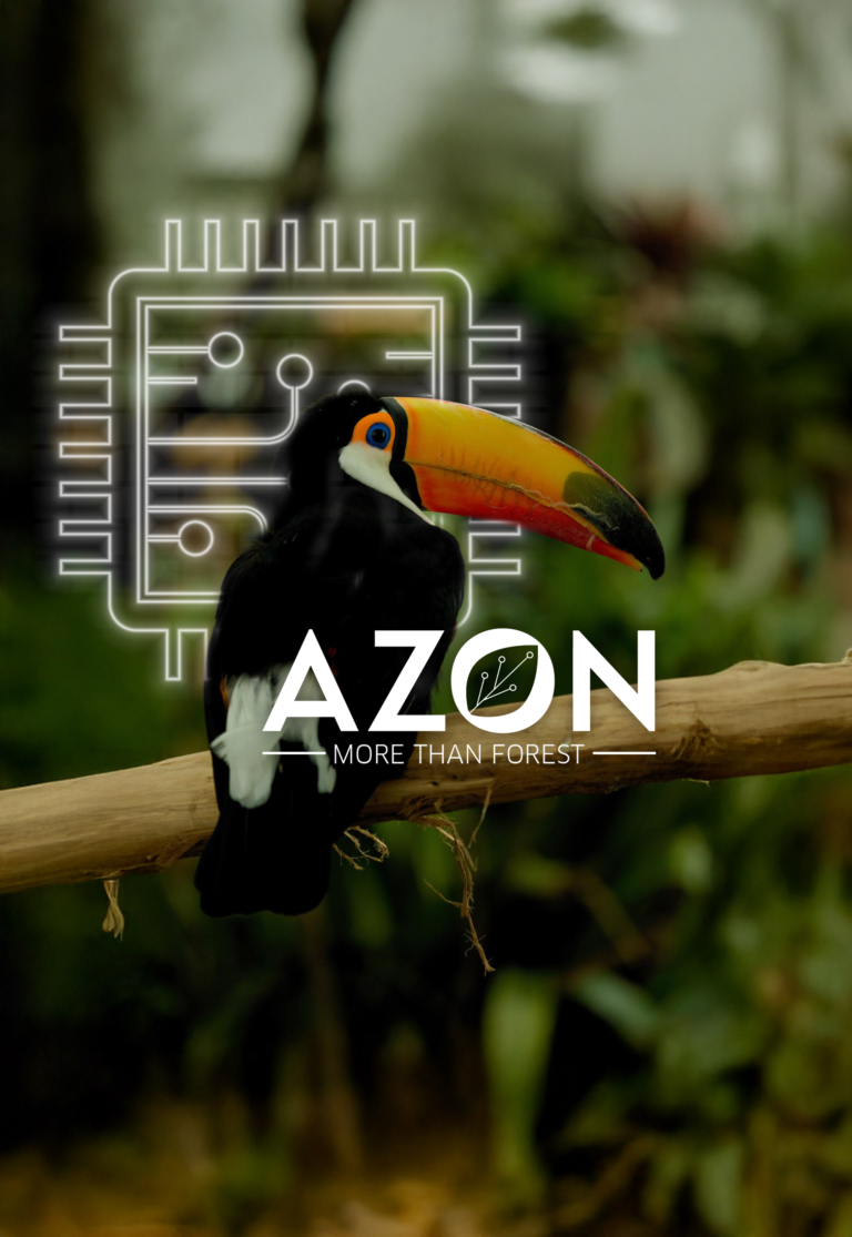 Por que as assinaturas são anuais?